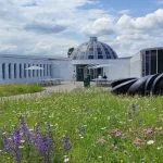 University of St.Gallen IEMBA