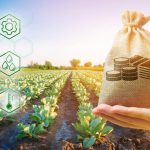 Best Crypto Yield Farming: Maximizing Returns in DeFi