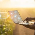 Farmer using digital tablet in corn crop cultivated field with smart farming interface icons and light flare sunset effect. Smart and new technology for agriculture business concept.