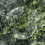 Transforming Business Education Through Sustainability and Innovation