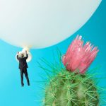 Looking Towards 2026